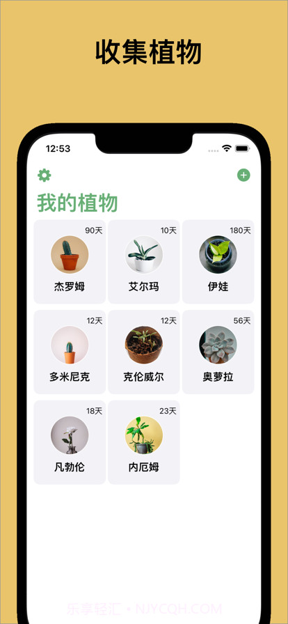 植物猎人截图1