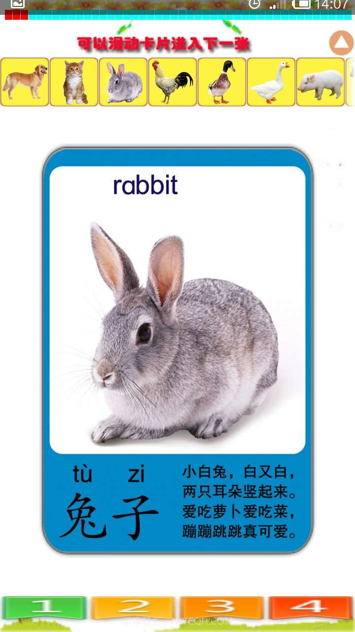 儿童识动物截图3