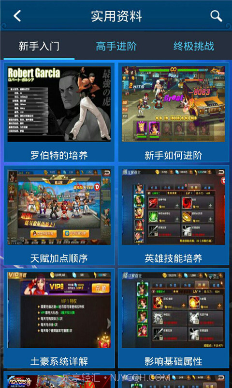 拳皇98终极之战攻略助手截图3