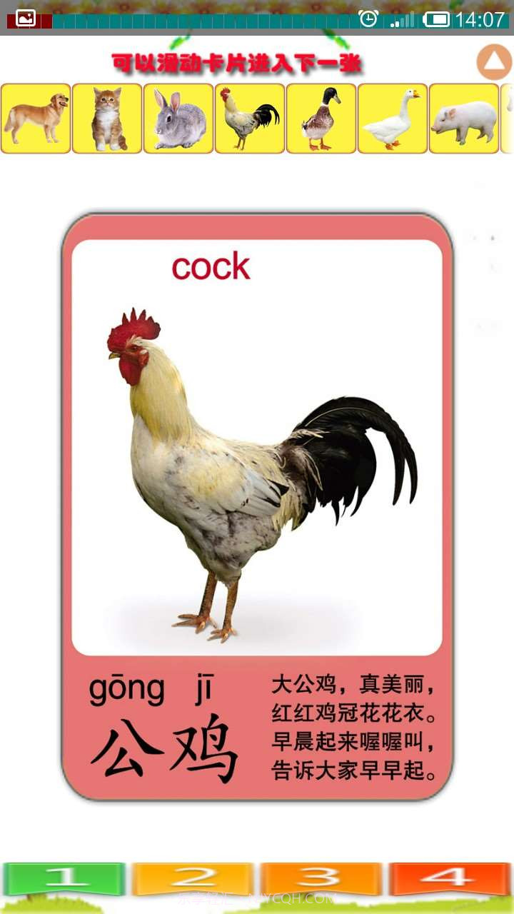 儿童识动物截图4