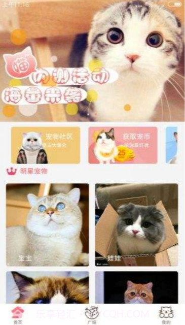 猫咪(宅男必备)截图3