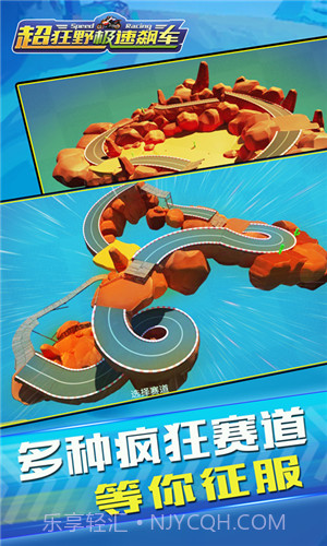 3D双人极速飙车截图2 3D双人极速飙车截图2