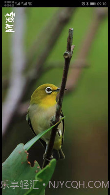 辣问互助app(辣问互助答题)V1.0.1 截图2 辣问互助app(辣问互助答题)V1.0.1 截图2