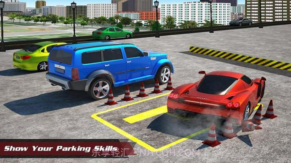 特技停车大师截图3