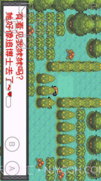 口袋妖怪暗兽神截图2