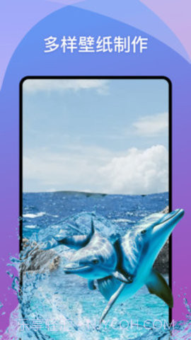 动态壁纸show截图2