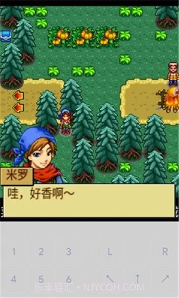 宠物王国4白金截图3 宠物王国4白金截图3