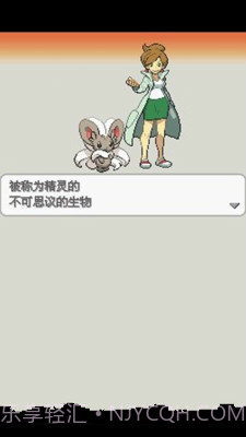 口袋妖怪:白2 649版截图2 口袋妖怪:白2 649版截图2