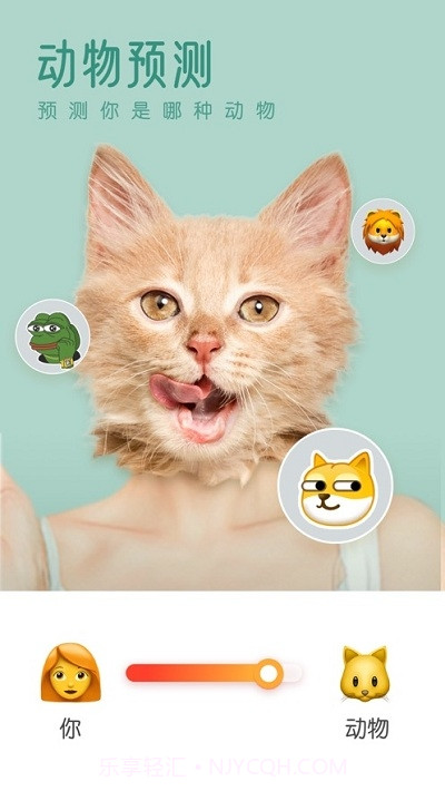 PicsMagic截图1 PicsMagic截图1