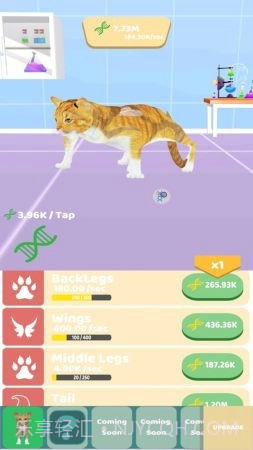 动物进化实验截图2