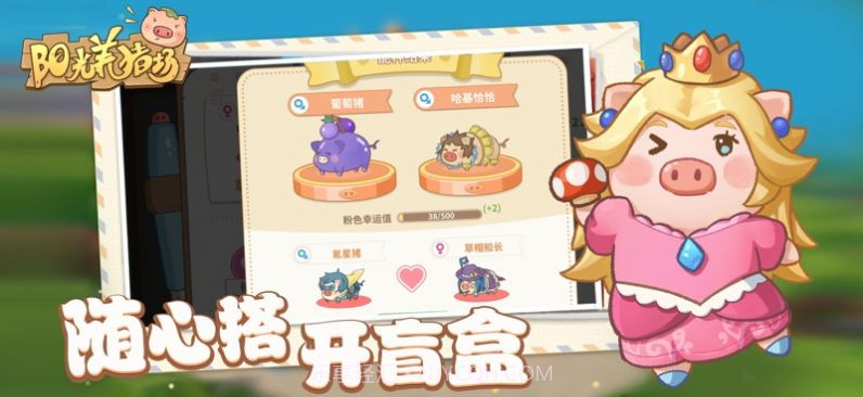 阳光养猪场致富之旅内购版截图2