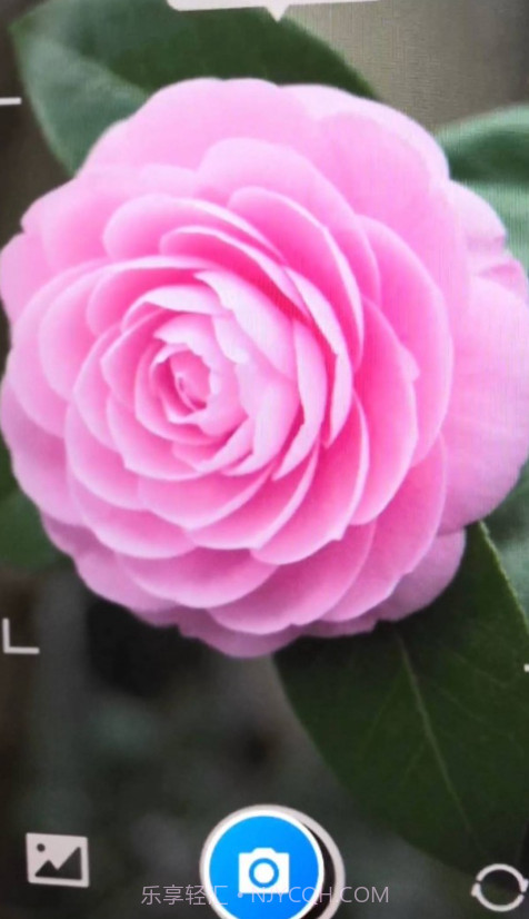 智能花卉识别截图3 智能花卉识别截图3