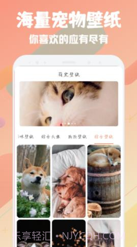 萌宠翻译器截图3 萌宠翻译器截图3