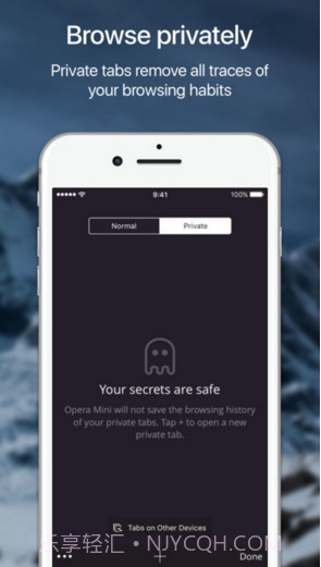 Opera Mini网页浏览器截图4