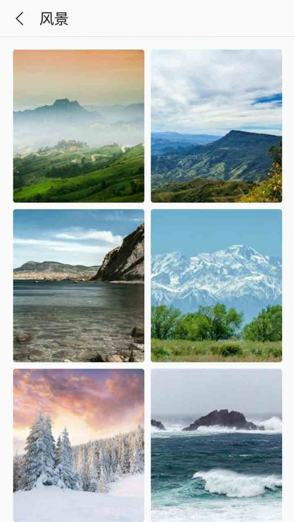 芒果壁纸截图3 芒果壁纸截图3