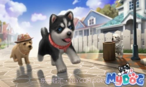 梦幻小狗截图4 梦幻小狗截图4