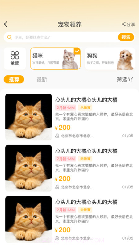 喵鑫球宠物截图2 喵鑫球宠物截图2