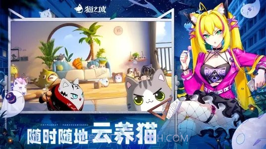 猫之城B服截图5