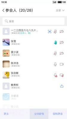 会见(视频会议)截图3 会见(视频会议)截图3