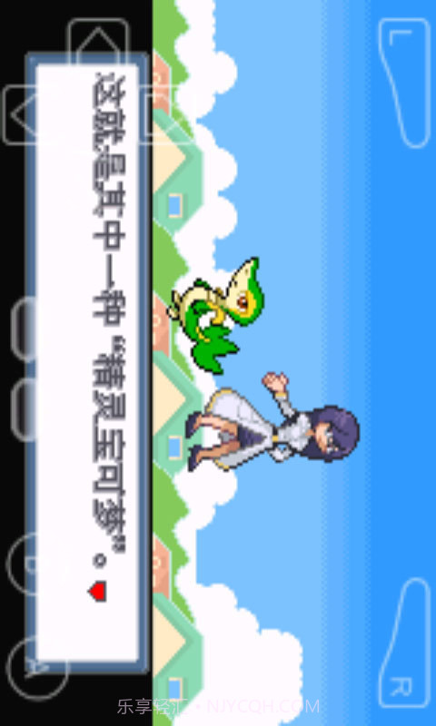 口袋妖怪白金光截图2