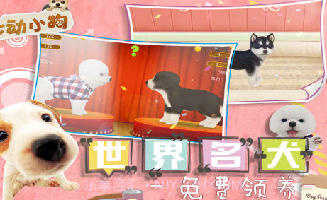 我的心动小狗截图3 我的心动小狗截图3