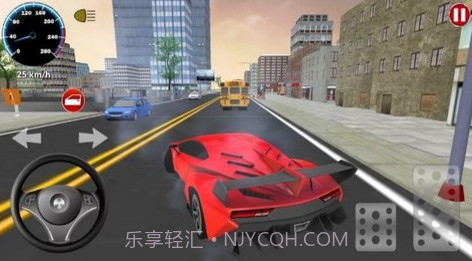 city car driving截图3