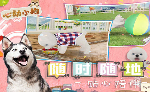我的心动小狗截图1 我的心动小狗截图1