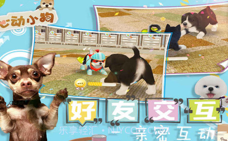 我的心动小狗截图2 我的心动小狗截图2