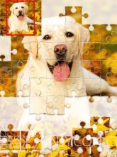 智能拼图游戏1000截图3