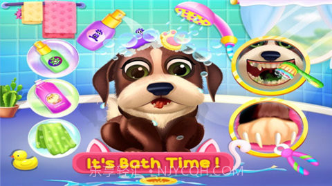 狗狗护理中心截图1 狗狗护理中心截图1