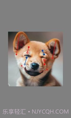 DragGAN AI图像编辑截图3 DragGAN AI图像编辑截图3