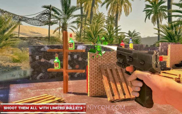 瓶子射击专家截图1