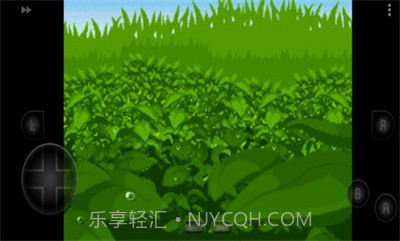 口袋妖怪四季之约截图2 口袋妖怪四季之约截图2