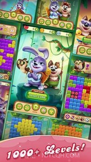 宠物益智冒险截图4