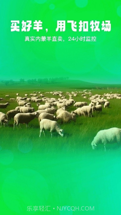 飞扣牧场截图4 飞扣牧场截图4