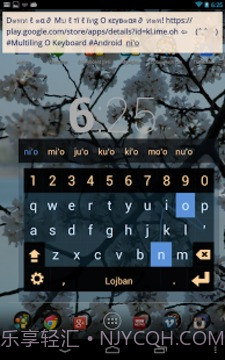 MultiLing 输入法截图10 MultiLing 输入法截图10