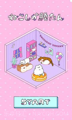 只有猫咪才能赢截图2