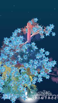 SpinTree2截图1