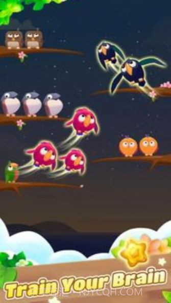 彩色鸟排序截图1