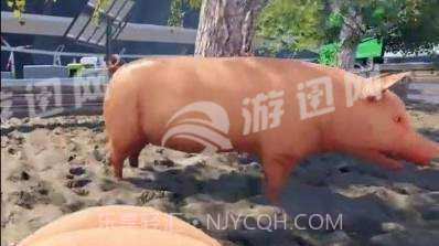 自己是一只猪截图2 自己是一只猪截图2