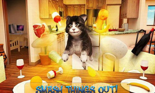 可爱猫大冒险截图3 可爱猫大冒险截图3