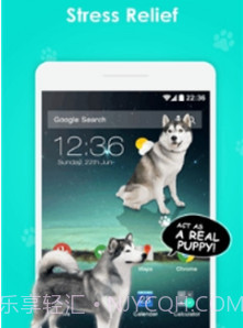 手机屏幕养狗截图2 手机屏幕养狗截图2