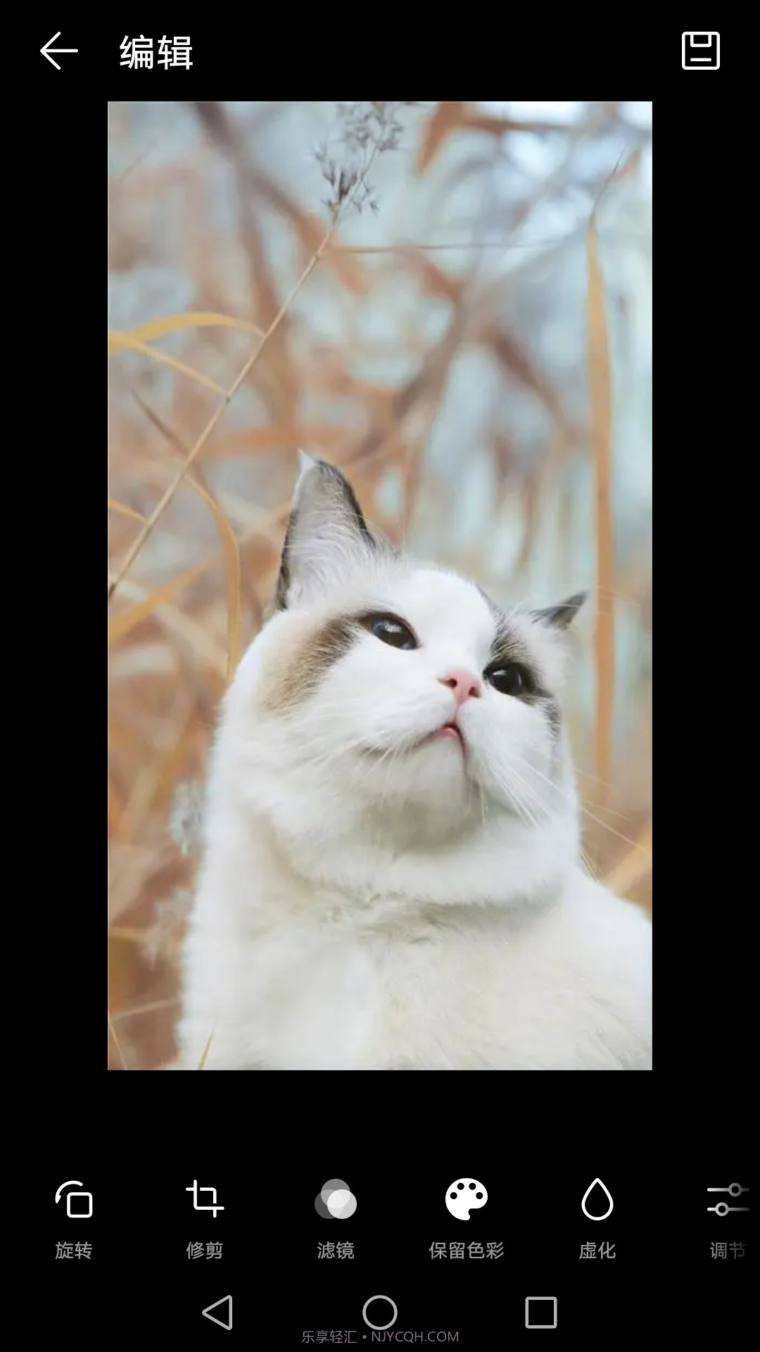 双祥相册截图3 双祥相册截图3