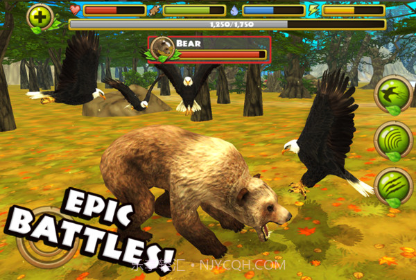 老鹰模拟器2截图2 老鹰模拟器2截图2