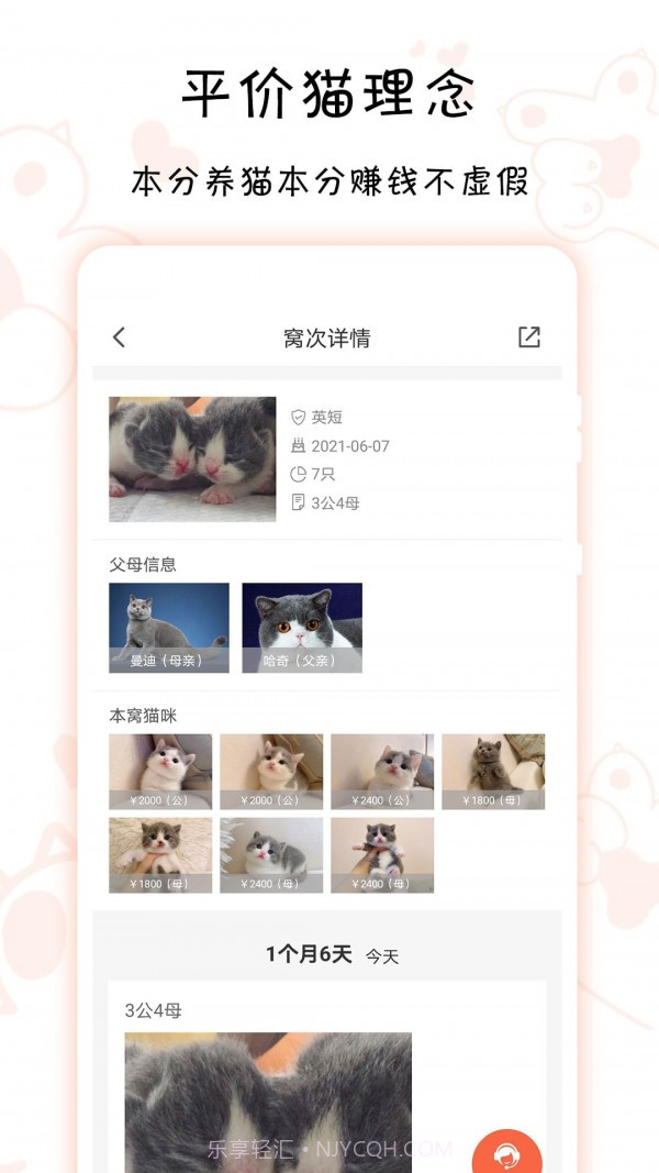 家连猫舍截图4 家连猫舍截图4