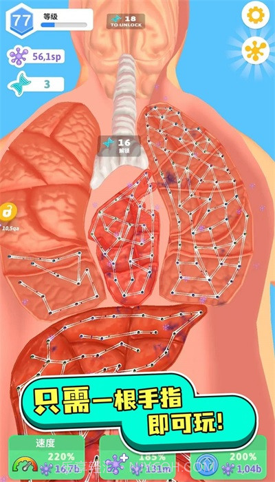 人体测试人体细胞连接截图1 人体测试人体细胞连接截图1