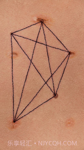 盛开之歌（Song of Bloom）截图2