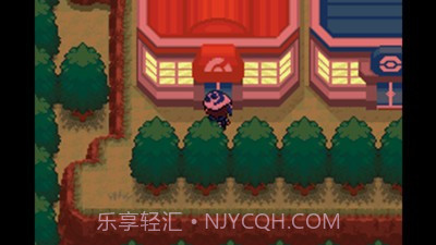 口袋妖怪失落的三国截图2