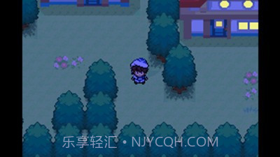 口袋妖怪失落的三国截图1