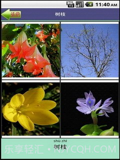 看图识字植物篇截图5 看图识字植物篇截图5